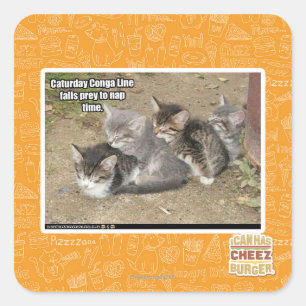Caturday Conga-Linie Quadratischer Aufkleber
