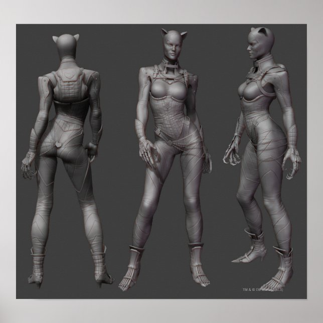 Catwoman Alternate Turnaround Poster (Vorne)