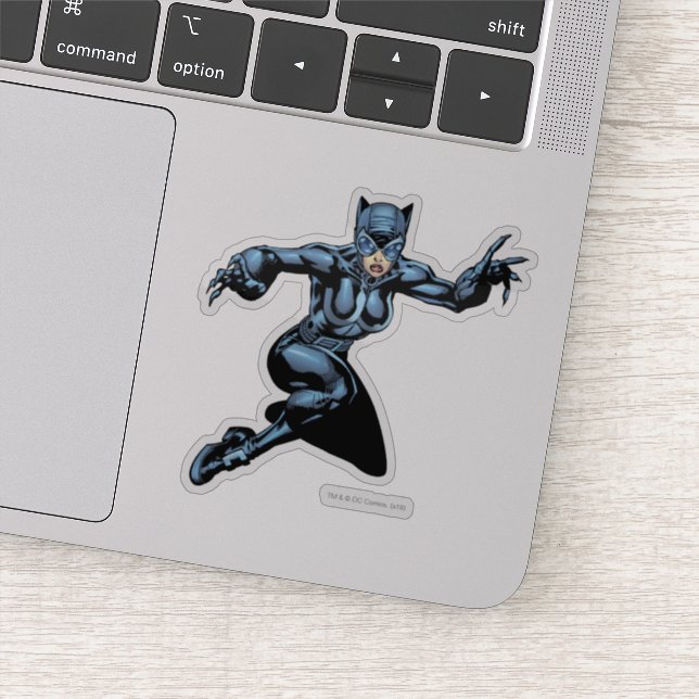 Catwoman mit Gesetzen Aufkleber (Detail)