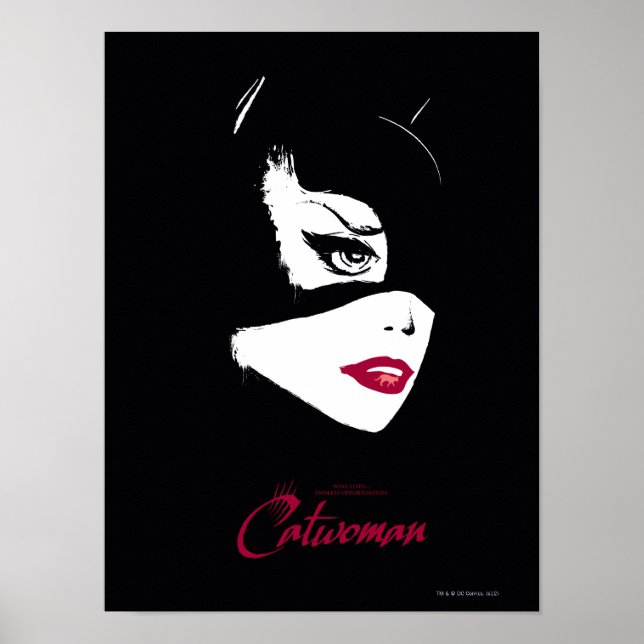 Catwoman Nine Lives Poster (Vorne)