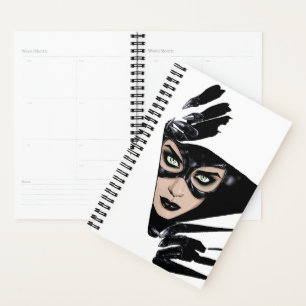 Catwoman The Claws Are Out Cover Illustration Planer