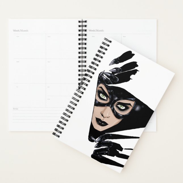 Catwoman The Claws Are Out Cover Illustration Planer (Anzeige)
