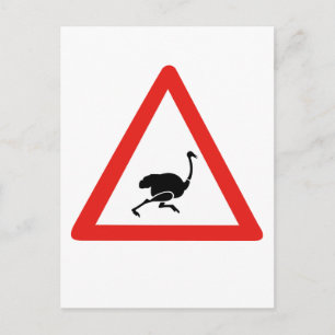 Caution Ostriches 1, Verkehrswarnung, Namibia Postkarte