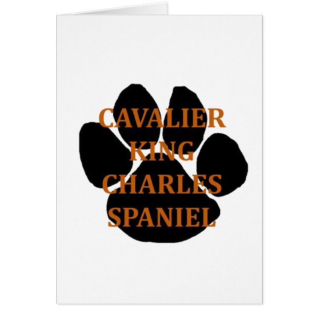 cav name paw (Vorne)