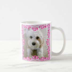 Cavachon Foto-Tasse, kundengebundenes HundeFoto Kaffeetasse