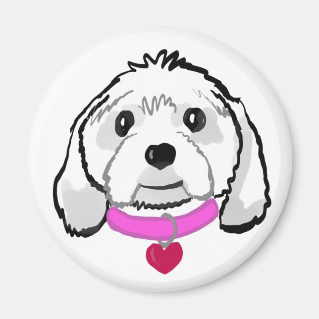 Cavachon Magnet (Vorne)