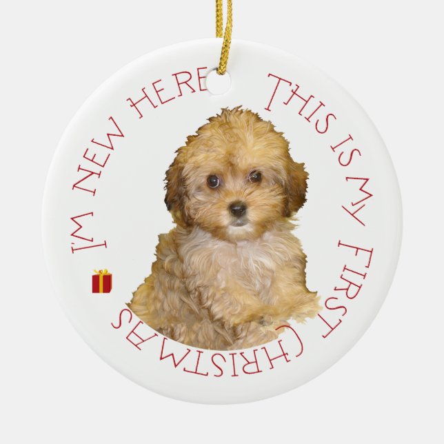Cavachon Puppy Keramik Ornament (Vorne)
