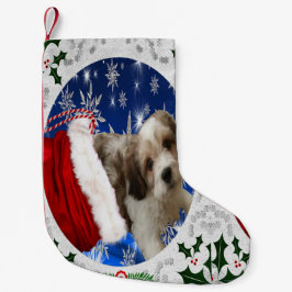Cavachon Strumpf, Weihnachtshund Kleiner Weihnachtsstrumpf