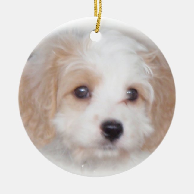 Cavachon Verfolgungs-Keramik-Verzierung Keramikornament (Vorne)