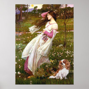 Cavalier 2 (Bl) - Windflowers Poster