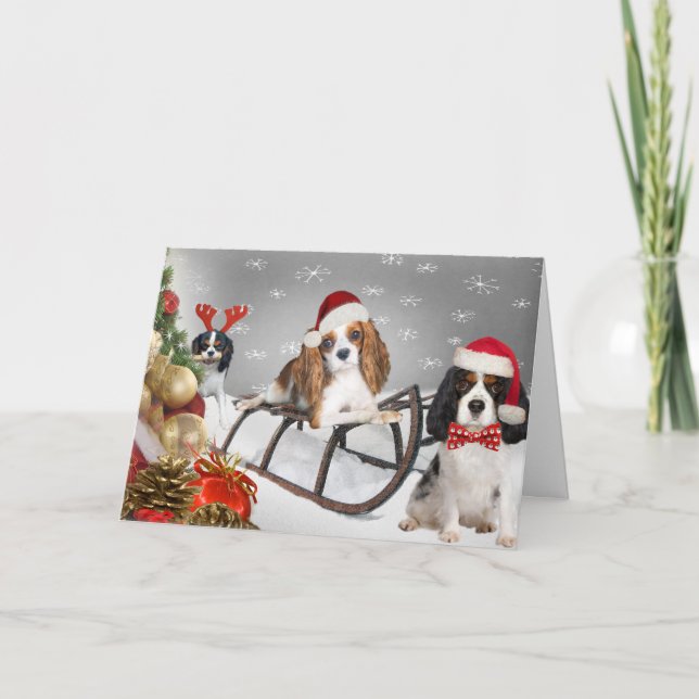 Cavalier A Une Carte De Noël Joyeuse (Devant)