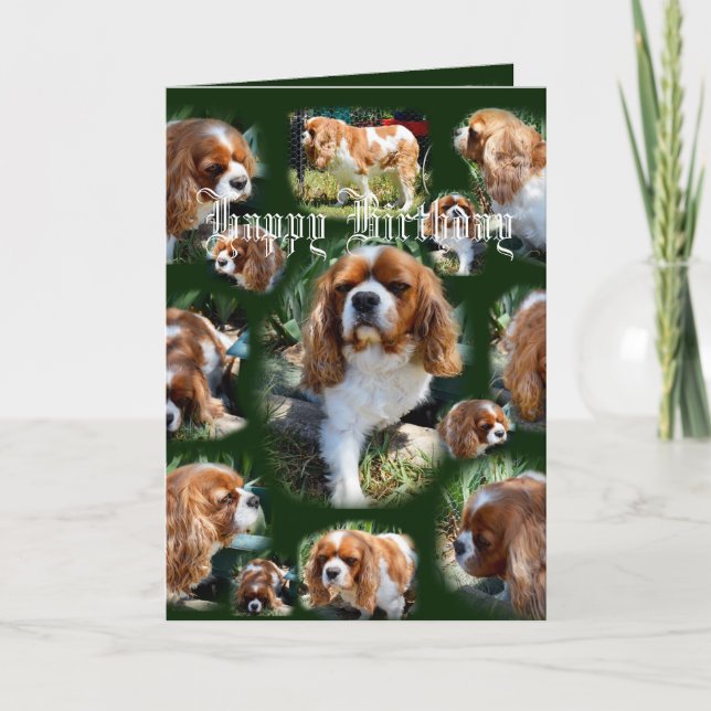 Cavalier Dog Foto Collage Happy Birthday, Karte (Vorderseite)