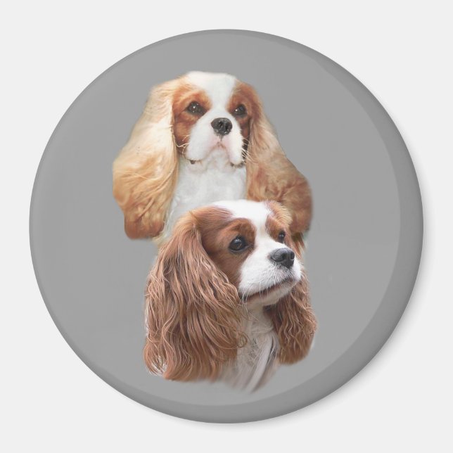 Cavalier Hübsch Girls Magnet (Vorne)