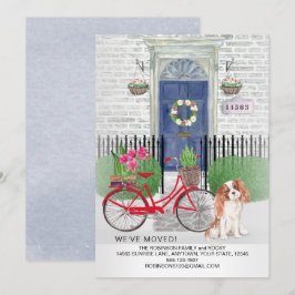 Cavalier King Charles Bicycle Neue Zuhause Ankündigung