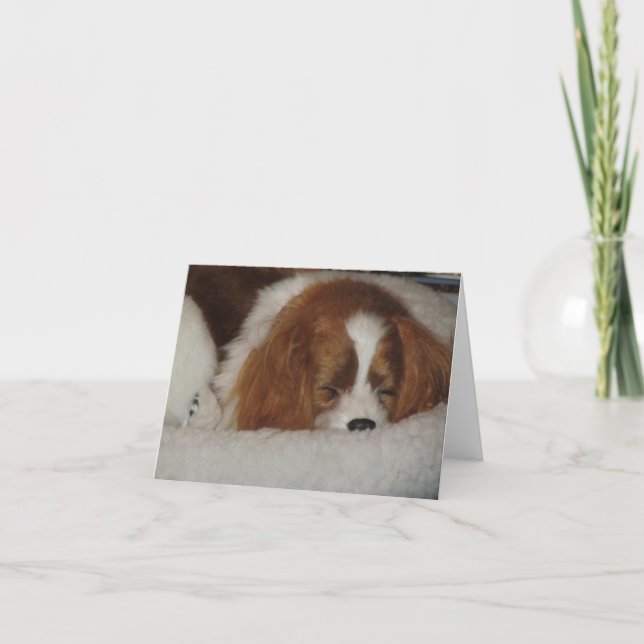 Cavalier King Charles Blenheim Blank Note Card Karte (Vorderseite)
