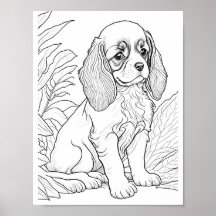 Cavalier King Charles Dog Aduloring Coloring