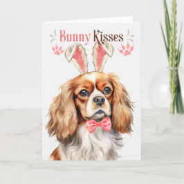 Cavalier King Charles Dog in den sonnigen Ohren fü Feiertagskarte