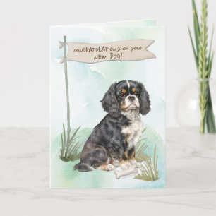 Cavalier King Charles gratulieren New Dog Karte