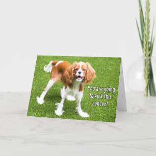 Cavalier King Charles Kick Cette Carte Cancer