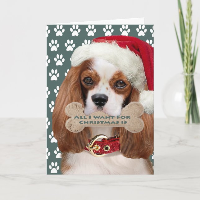 Cavalier King Charles Kisses zu Weihnachten (Vorderseite)