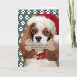 Cavalier King Charles Kisses zu Weihnachten