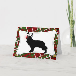 Cavalier King Charles Reindeer Weihnachtskarte Feiertagskarte