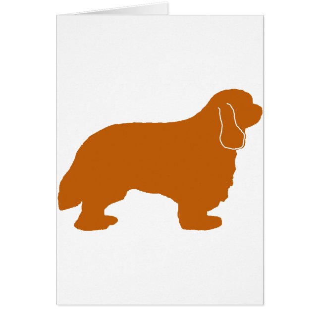 Cavalier King Charles ruby silo (Vorne)