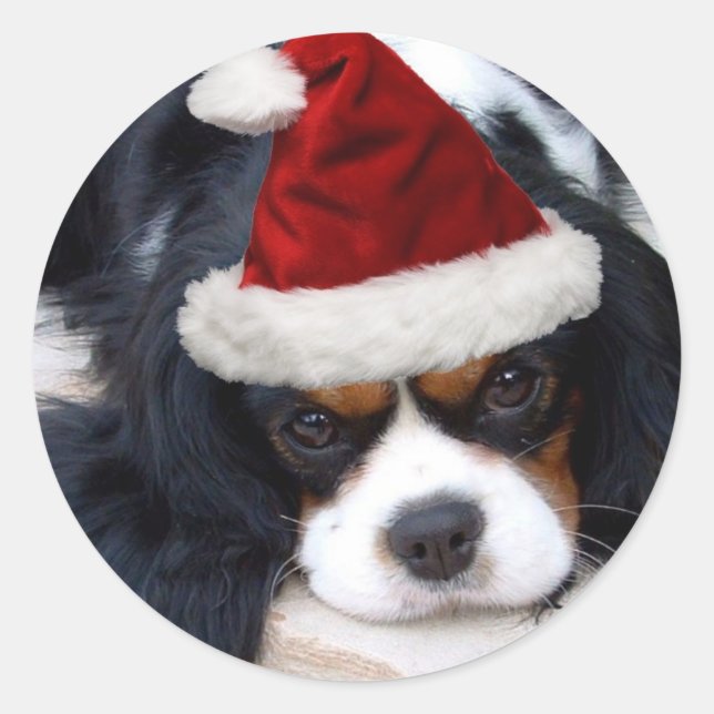 Cavalier King Charles Runder Aufkleber (Vorderseite)