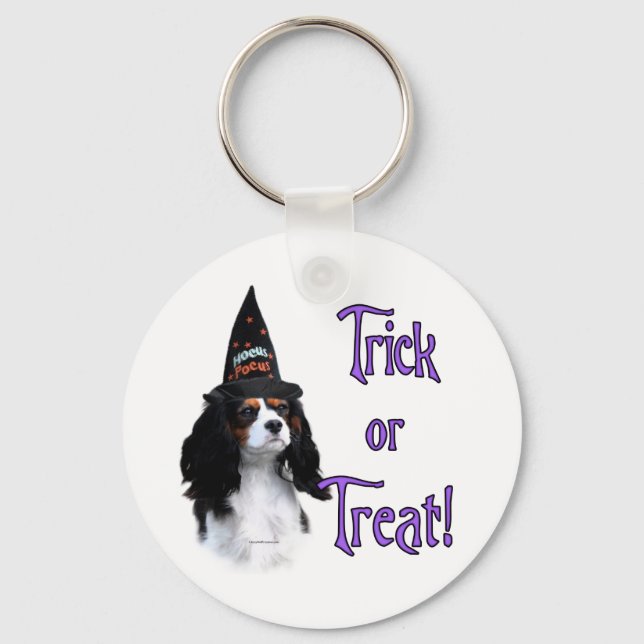 Cavalier King Charles Spanel Trick Schlüsselanhänger (Vorderseite)