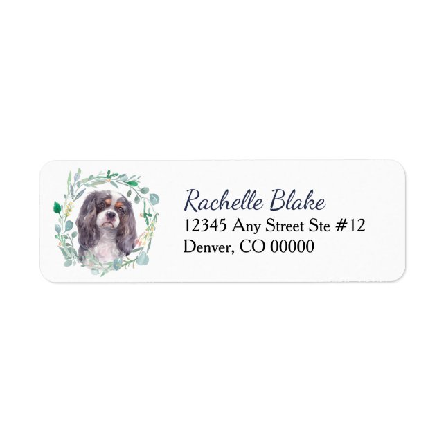 Cavalier King Charles Spaniel (Vorne)