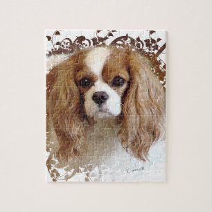 Cavalier King Charles Spaniel