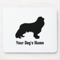 Cavalier King Charles Spaniel キ ア