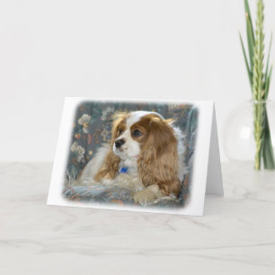 Cavalier King Charles Spaniel 8R16D-01 Karte