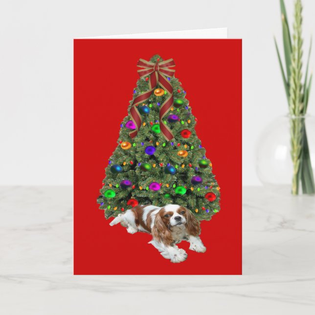 Cavalier King Charles Spaniel Arbre de la carte de (Devant)