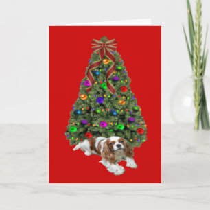 Cavalier King Charles Spaniel Arbre de la carte de
