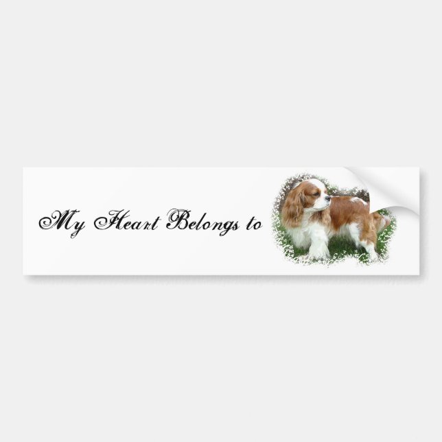 Cavalier King Charles Spaniel Autoaufkleber (Vorne)