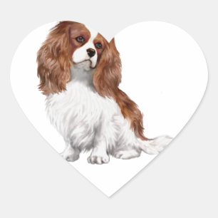 Cavalier King Charles Spaniel (Blenheim A.) Herz-Aufkleber