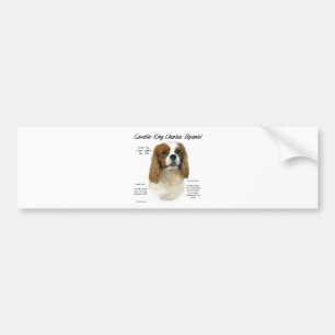 Cavalier King Charles Spaniel (Blenheim) Geschicht Autoaufkleber