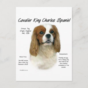 Cavalier King Charles Spaniel (Blenheim) Geschicht Postkarte
