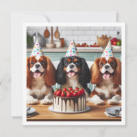 Cavalier King Charles Spaniel card, Cavalier