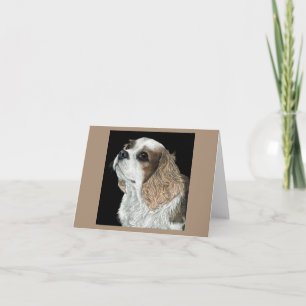 Cavalier King Charles Spaniel Card - Max Karte