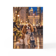 Cavalier King Charles Spaniel Chanukka NYC