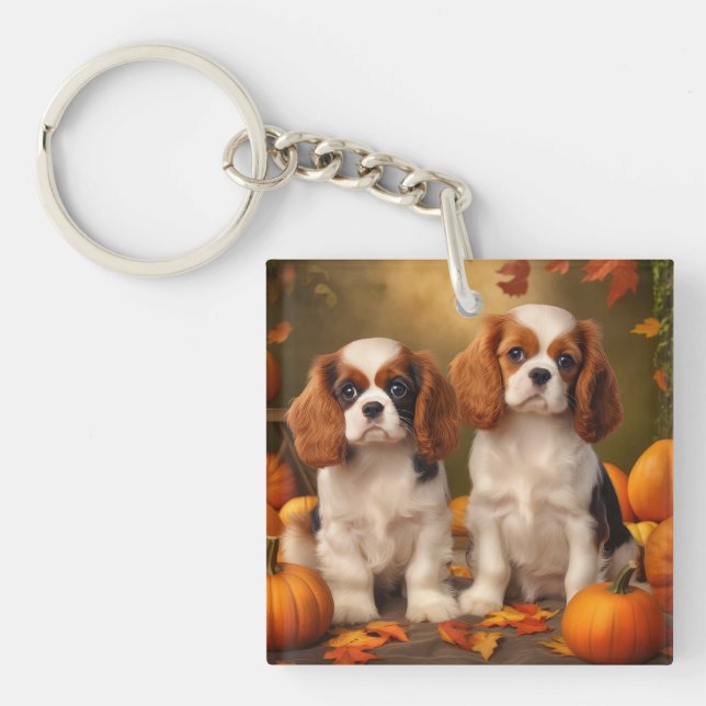 Cavalier King Charles Spaniel Chiot Citrouille d'a (Devant)
