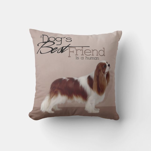 Cavalier King Charles Spaniel Coussin (Recto)