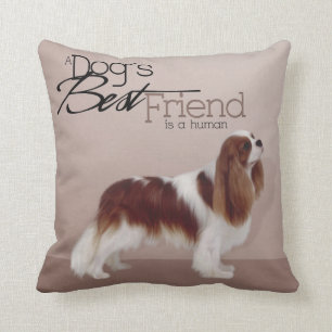 Cavalier King Charles Spaniel Coussin