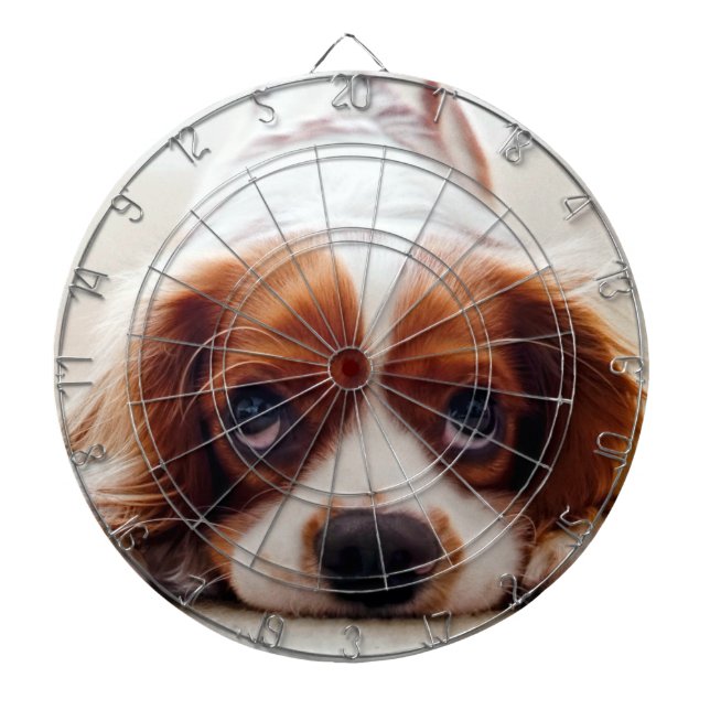 Cavalier King Charles Spaniel Dartscheibe (vorne)
