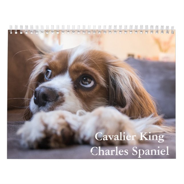 Cavalier King Charles Spaniel Dog Calendar Kalender (Titelbild)