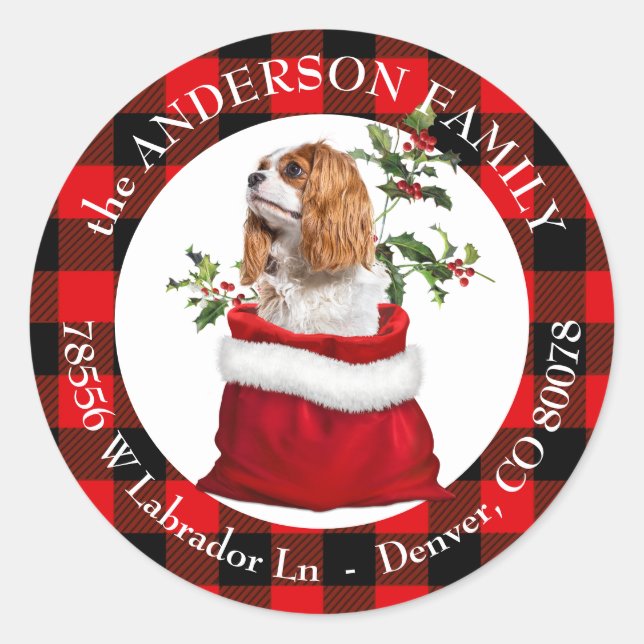 Cavalier King Charles Spaniel Dog Kariert Frame Runder Aufkleber (Vorderseite)