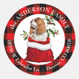 Cavalier King Charles Spaniel Dog Kariert Frame Runder Aufkleber