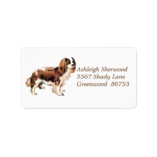 Cavalier King Charles Spaniel Étiquette de adresse